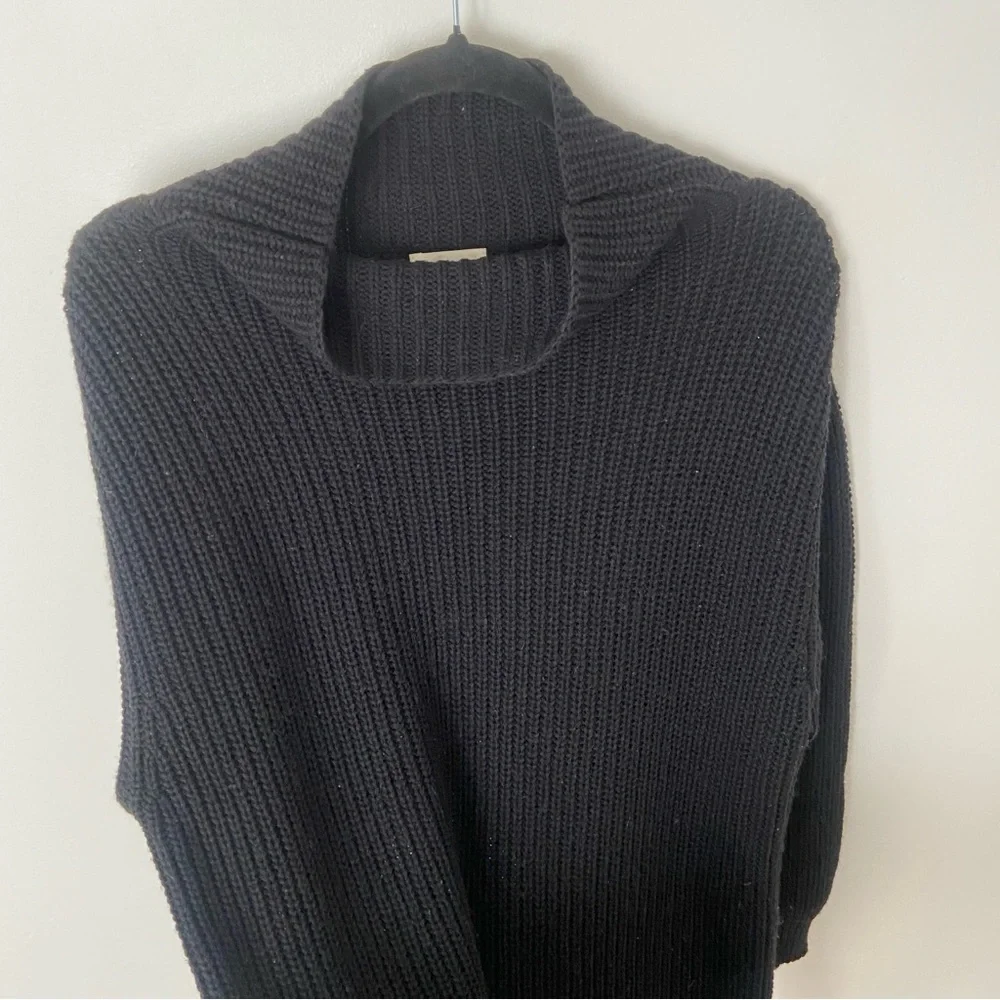 Aritzia Black Ribbed Turtleneck Sweater Dress - Picture 4 of 11